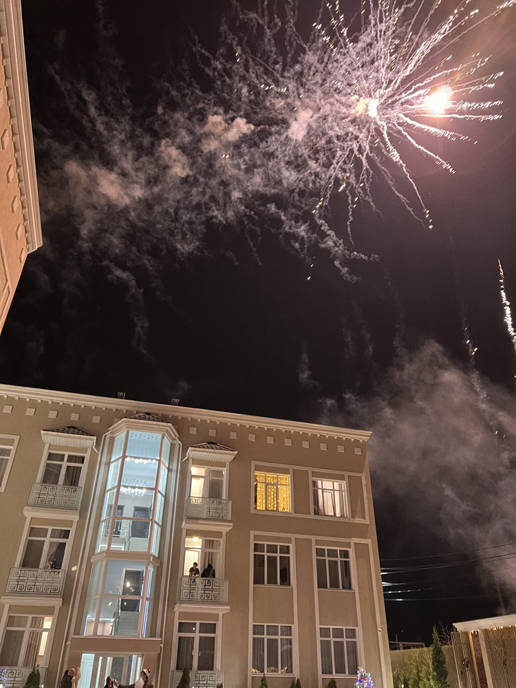 Празднование Нового года в Симферополе – отель Соната